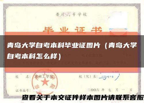 青岛大学自考本科毕业证图片（青岛大学自考本科怎么样）缩略图