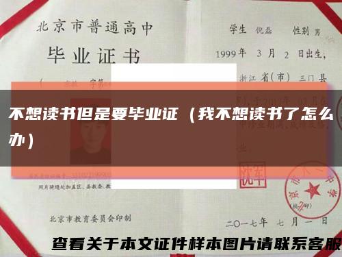 不想读书但是要毕业证（我不想读书了怎么办）缩略图