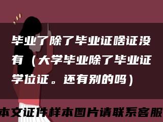 毕业了除了毕业证啥证没有（大学毕业除了毕业证学位证。还有别的吗）缩略图