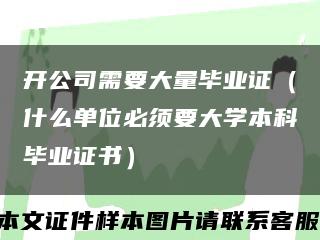 开公司需要大量毕业证（什么单位必须要大学本科毕业证书）缩略图