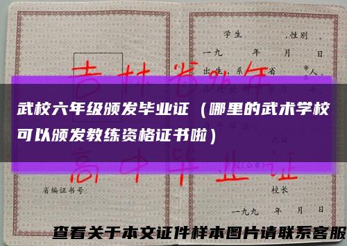 武校六年级颁发毕业证（哪里的武术学校可以颁发教练资格证书啦）缩略图