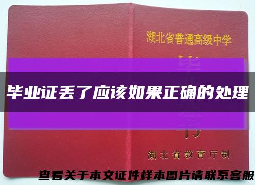 毕业证丢了应该如果正确的处理缩略图