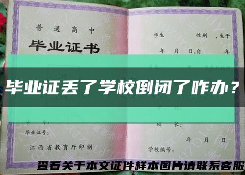 毕业证丢了学校倒闭了咋办？缩略图