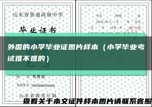 外国的小学毕业证图片样本（小学毕业考试难不难的）缩略图