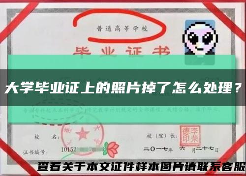 大学毕业证上的照片掉了怎么处理？缩略图