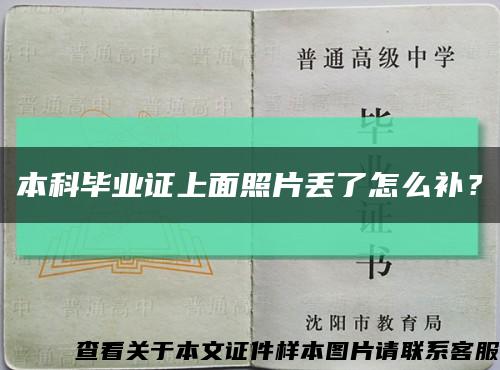 本科毕业证上面照片丢了怎么补？缩略图