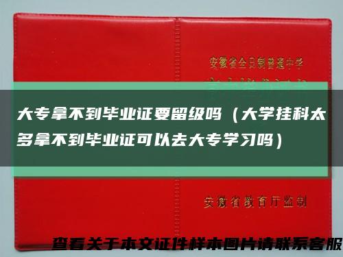 大专拿不到毕业证要留级吗（大学挂科太多拿不到毕业证可以去大专学习吗）缩略图