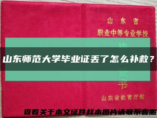 山东师范大学毕业证丢了怎么补救？缩略图