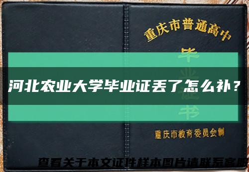 河北农业大学毕业证丢了怎么补？缩略图