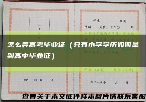 怎么弄高考毕业证（只有小学学历如何拿到高中毕业证）缩略图