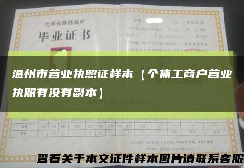 温州市营业执照证样本（个体工商户营业执照有没有副本）缩略图