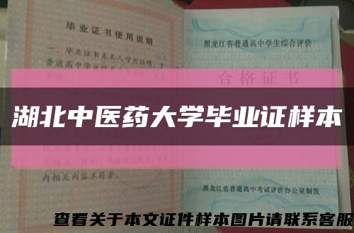 湖北中医药大学毕业证样本缩略图