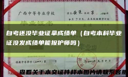 自考还没毕业证拿成绩单（自考本科毕业证没发成绩单能报护师吗）缩略图