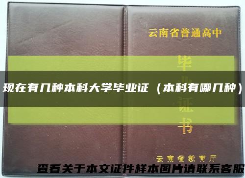 现在有几种本科大学毕业证（本科有哪几种）缩略图