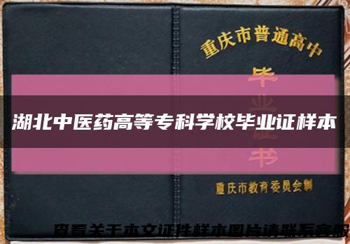 湖北中医药高等专科学校毕业证样本缩略图