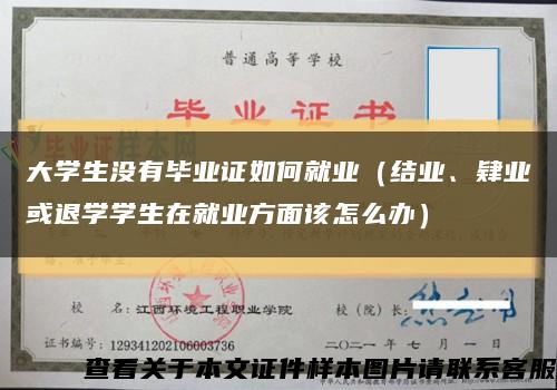 大学生没有毕业证如何就业（结业、肄业或退学学生在就业方面该怎么办）缩略图