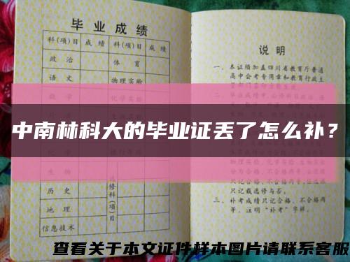 中南林科大的毕业证丢了怎么补？缩略图