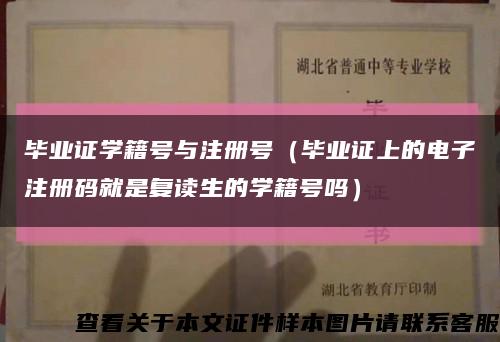 毕业证学籍号与注册号（毕业证上的电子注册码就是复读生的学籍号吗）缩略图