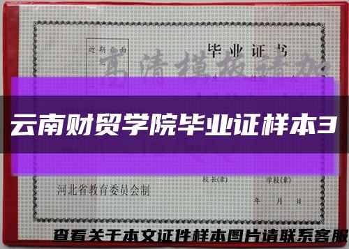 云南财贸学院毕业证样本3缩略图