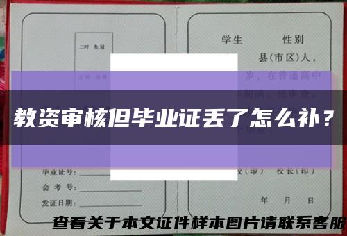 教资审核但毕业证丢了怎么补？缩略图