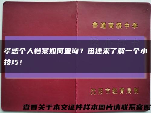 孝感个人档案如何查询？迅速来了解一个小技巧！缩略图