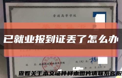 已就业报到证丢了怎么办缩略图