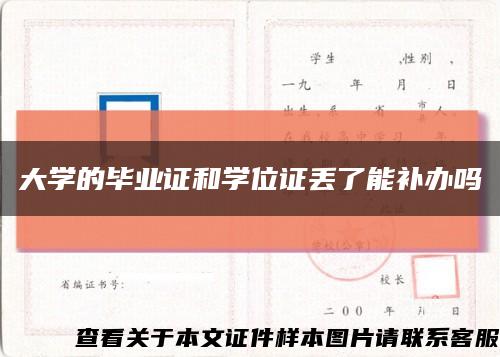 大学的毕业证和学位证丢了能补办吗缩略图