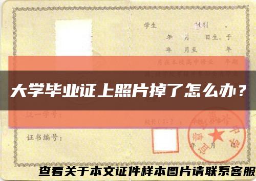 大学毕业证上照片掉了怎么办？缩略图