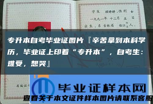 专升本自考毕业证图片『辛苦拿到本科学历，毕业证上印着“专升本”，自考生：难受，想哭』缩略图