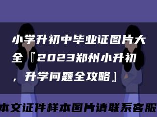 小学升初中毕业证图片大全『2023郑州小升初，升学问题全攻略』缩略图