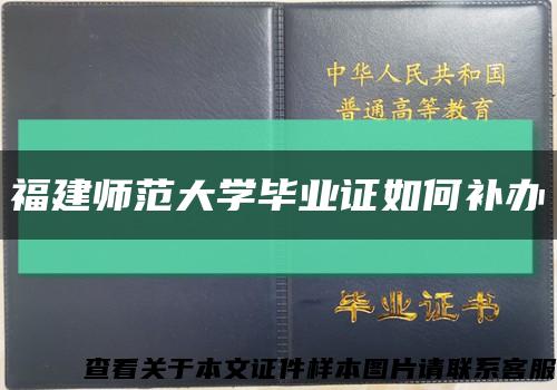 福建师范大学毕业证如何补办缩略图