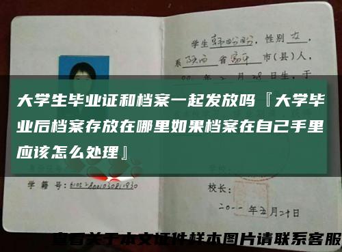 大学生毕业证和档案一起发放吗『大学毕业后档案存放在哪里如果档案在自己手里应该怎么处理』缩略图