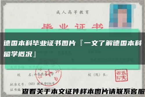 德国本科毕业证书图片『一文了解德国本科留学概况』缩略图