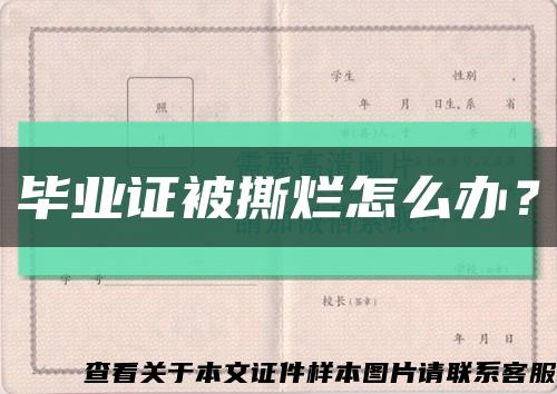 毕业证被撕烂怎么办？缩略图