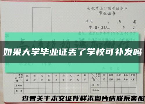 如果大学毕业证丢了学校可补发吗缩略图