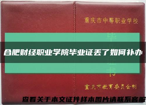 合肥财经职业学院毕业证丢了如何补办缩略图