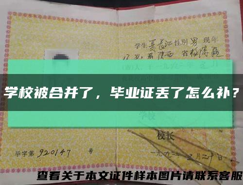 学校被合并了，毕业证丢了怎么补？缩略图