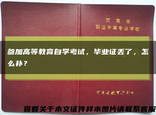 参加高等教育自学考试，毕业证丢了，怎么补？缩略图