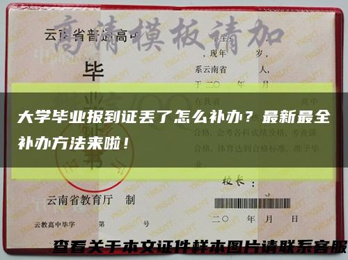 大学毕业报到证丢了怎么补办？最新最全补办方法来啦！缩略图