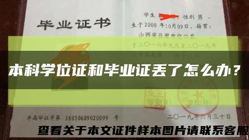 本科学位证和毕业证丢了怎么办？缩略图