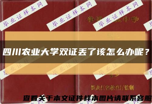 四川农业大学双证丢了该怎么办呢？缩略图