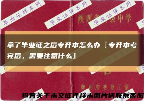 拿了毕业证之后专升本怎么办『专升本考完后，需要注意什么』缩略图