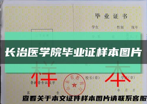 长治医学院毕业证样本图片缩略图