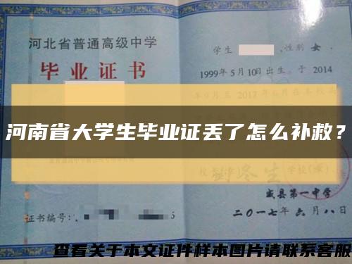 河南省大学生毕业证丢了怎么补救？缩略图