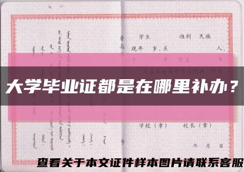 大学毕业证都是在哪里补办？缩略图