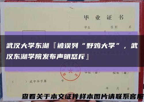 武汉大学东湖『被误列“野鸡大学”，武汉东湖学院发布声明怒斥』缩略图