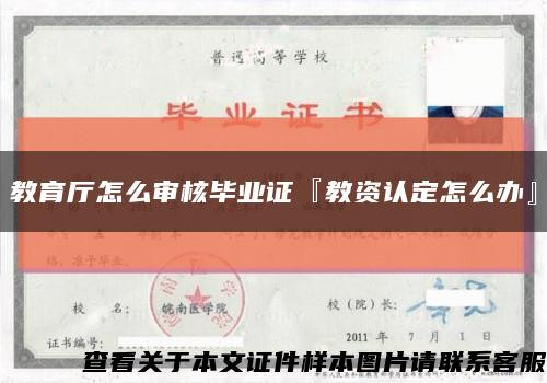 教育厅怎么审核毕业证『教资认定怎么办』缩略图