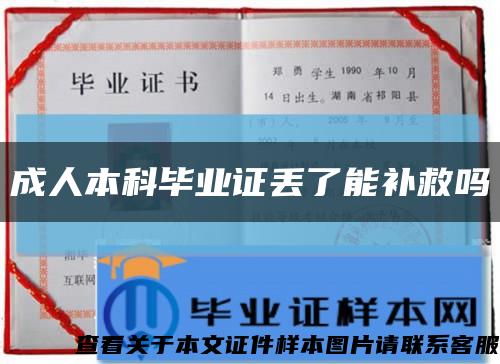 成人本科毕业证丢了能补救吗缩略图