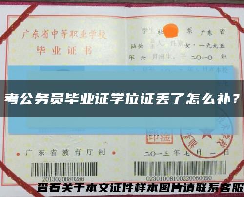 考公务员毕业证学位证丢了怎么补？缩略图