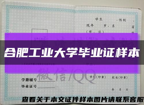 合肥工业大学毕业证样本缩略图